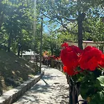 Κάμπινγκ Village La Verna